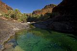 A lush small freshwater pool in a wadi, Socotra, Yemen